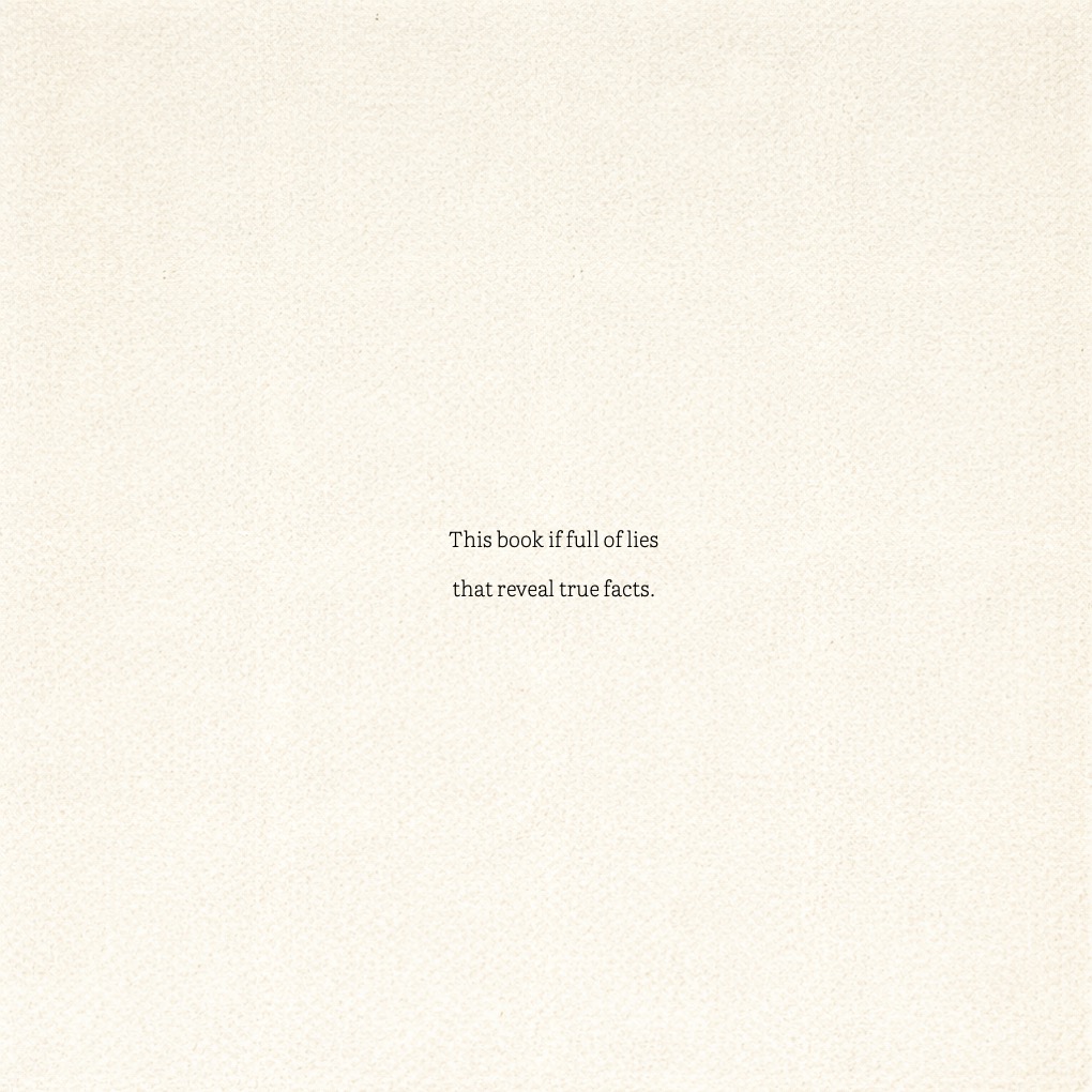 THE BOOK OF (TRUTHFUL) LIES - Home Edition - Image 4