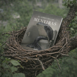 EL LIBRO DE LAS MENTIRAS - Imágenes Imaginarias