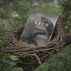 THE BOOK OF LIES - Images of imagination